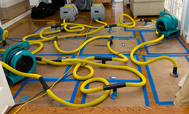Professional Water Extraction technician working in Montezuma, GA